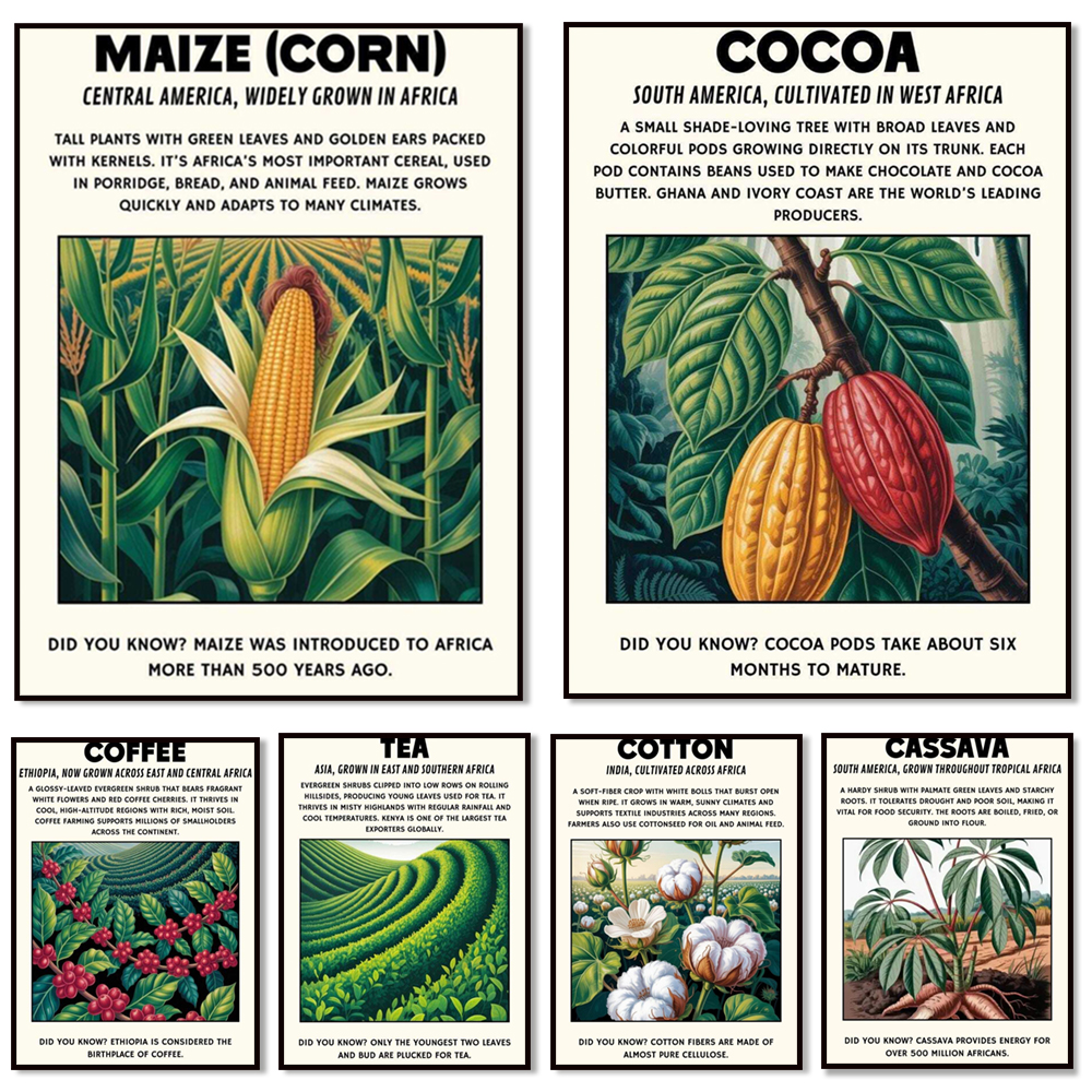 Coffee Tea Poster - African plant prints, cassava, cotton, corn,