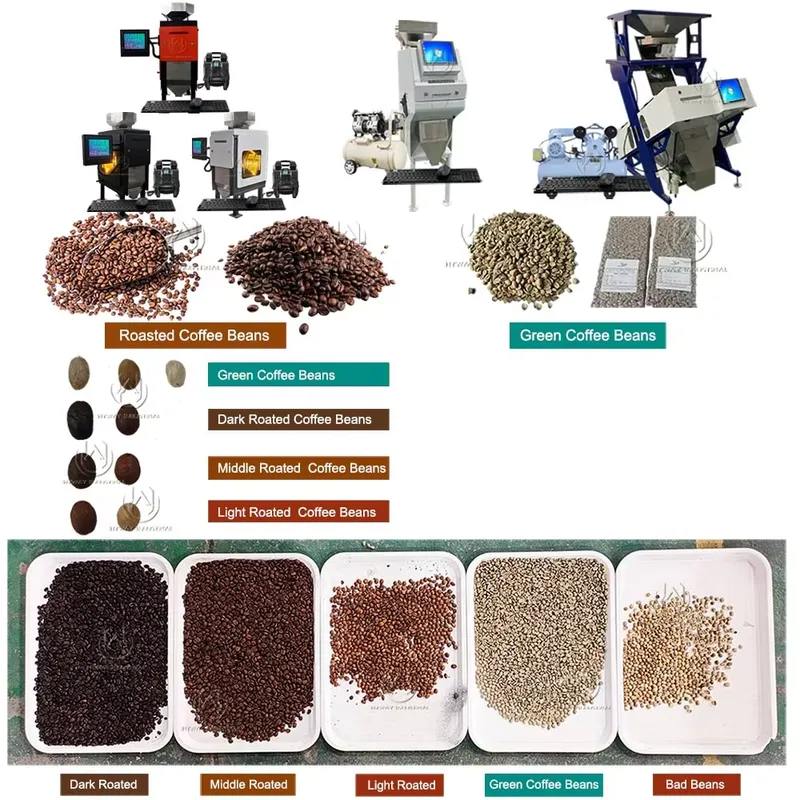 HCS100 Mini 50-100kg/h Coffee  - Coffee Bean & Tea Menu บทวิจารณ์และราคา
